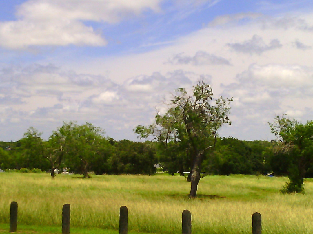 Lake Corpus Christi State Park-Mathis必去景点