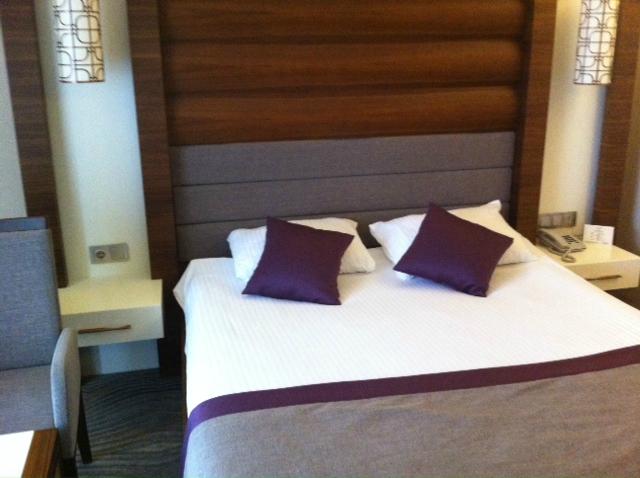 Grand Cenas Hotel-客卧