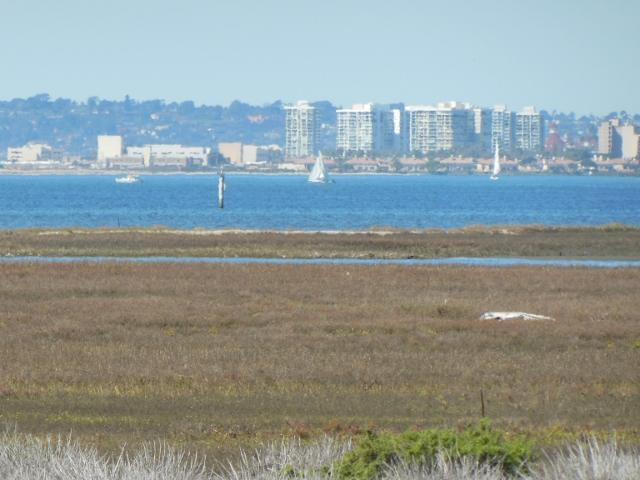 Gunpowder Point-丘拉维斯塔必去景点