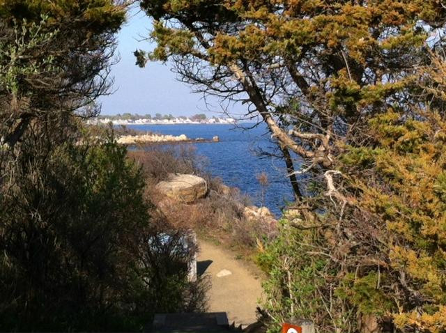 Meigs Point Nature Center-麦迪逊必去景点