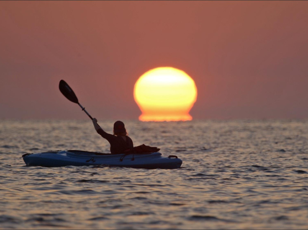 Cedar Key Paddling景点图片