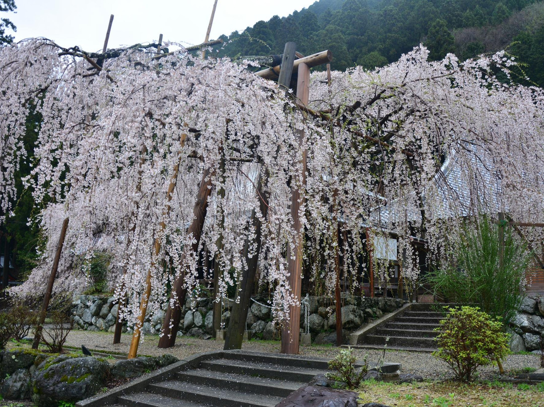 Hozoji Temple景点图片