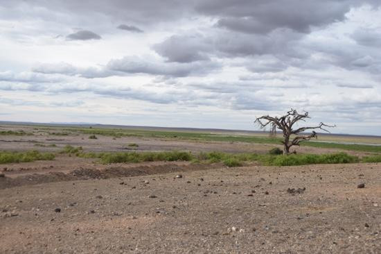 Observation Hill-安博塞利国家公园必去景点