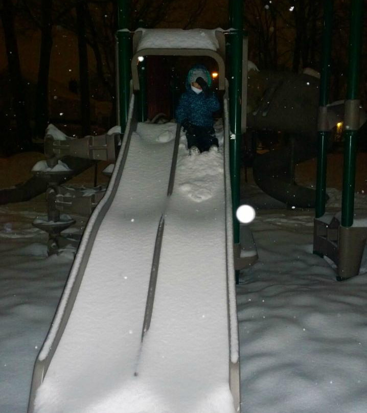 Firemen's Park-利堡必去景点