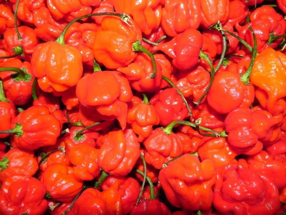 Volcanic Peppers景点图片