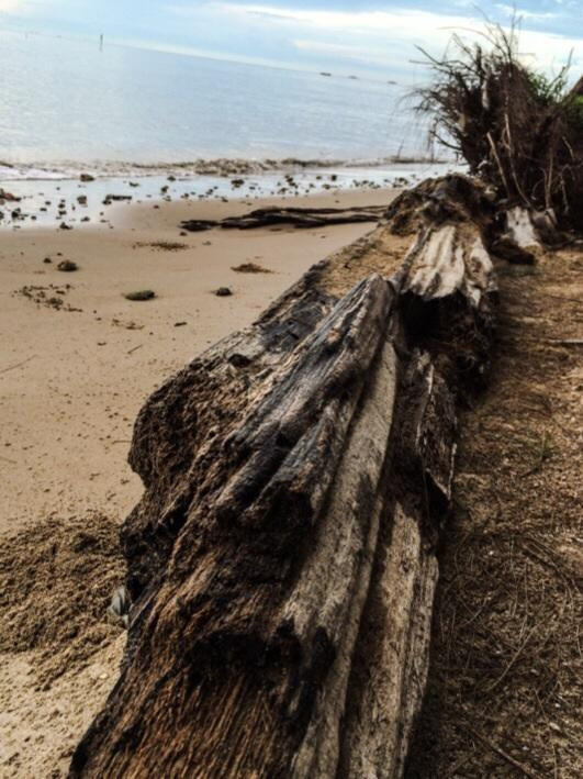 Japan-Lamaru Tomb-巴厘巴板必去景点