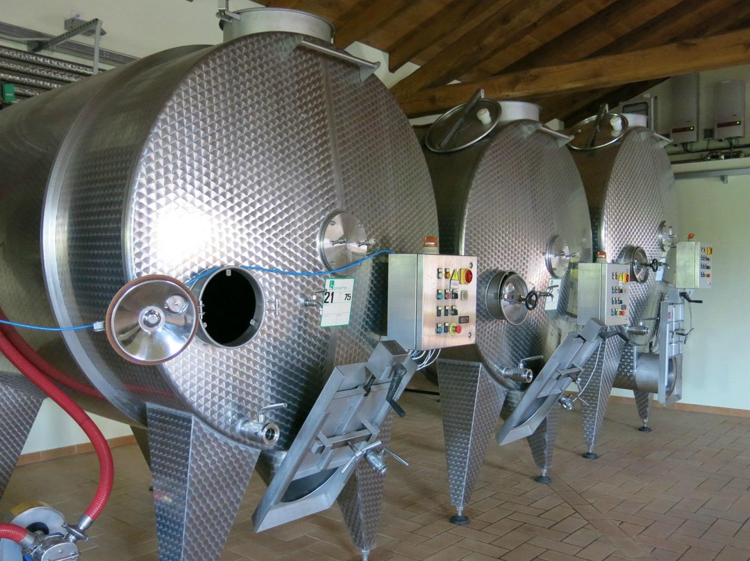 Bruno Rocca vineyard景点图片