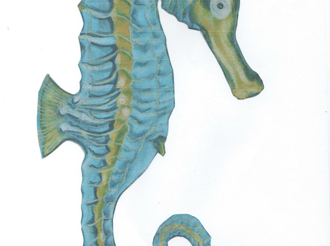 Seahorse Natural Therapies & Accommodation-阿波罗湾必去景点