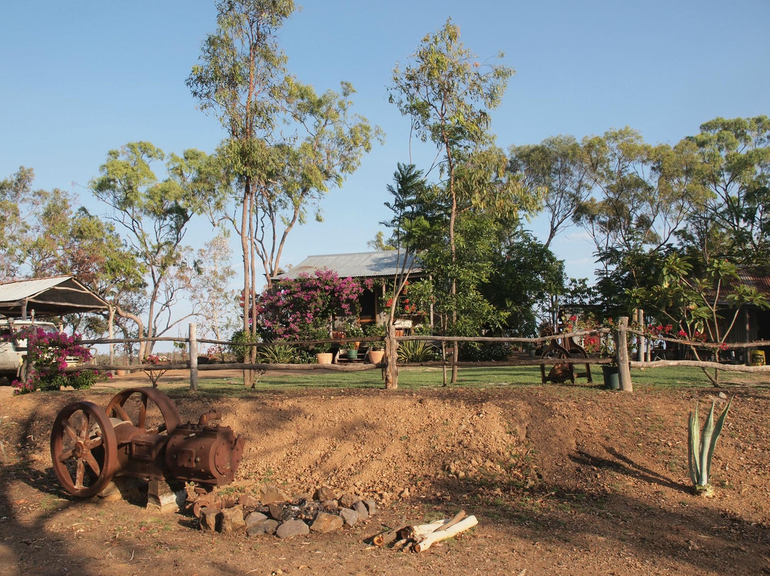 Tyrconnell Outback Experience景点图片