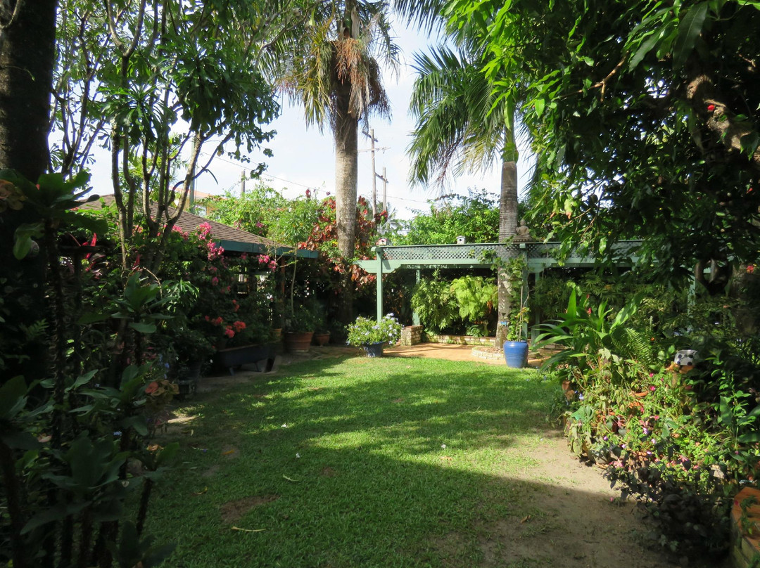 Rainforest B & B