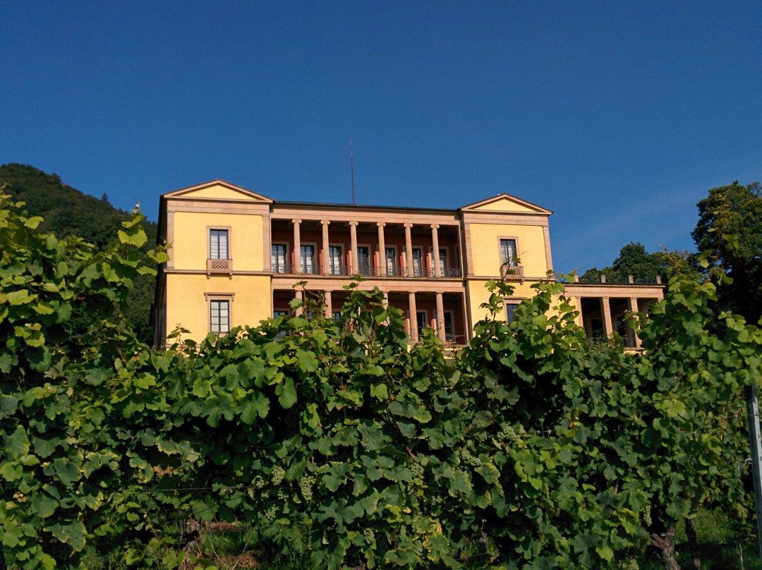 Villa Ludwigshoehe景点图片