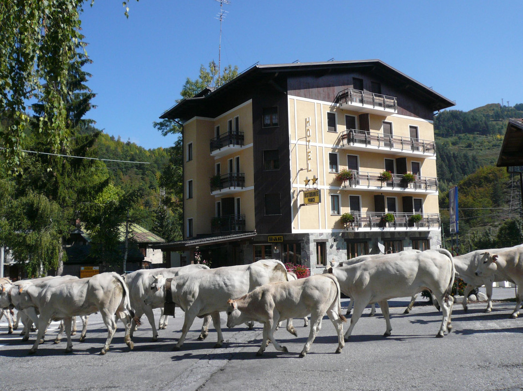 Albergo Panice