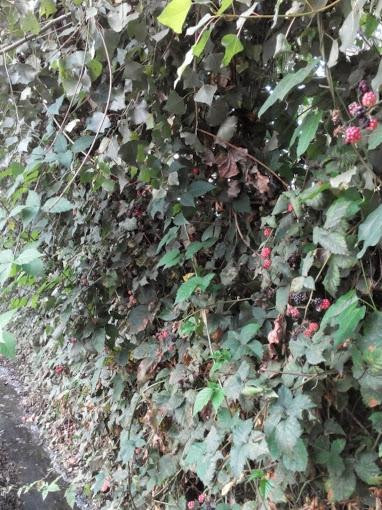 Azienda Agricola Rumma-Camposano必去景点