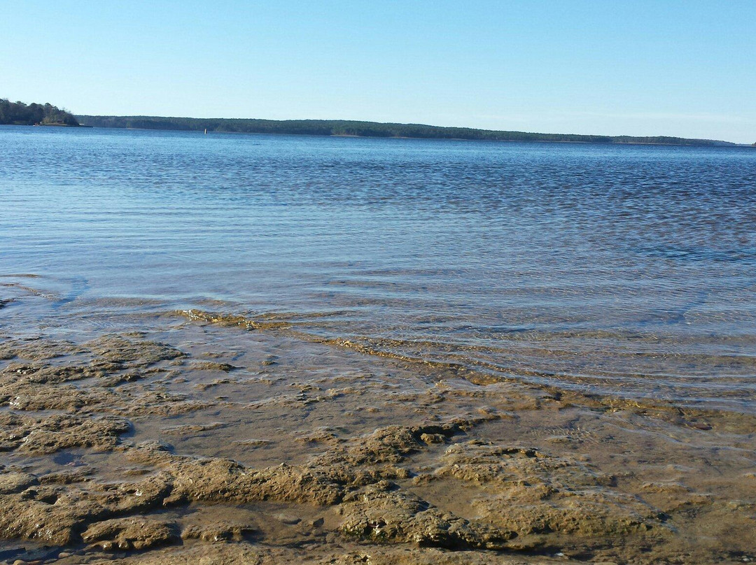 Sabine National Wildlife Refuge-Hackberry必去景点