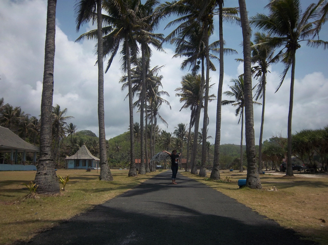 Pantai Srau景点图片