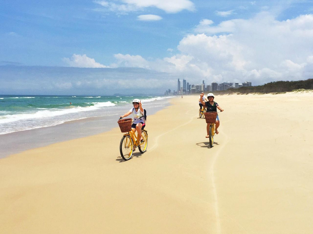 Gold Coast Bike Tours-冲浪者天堂必去景点