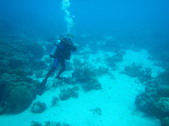 Diver's Request-奥腊涅斯塔德必去景点