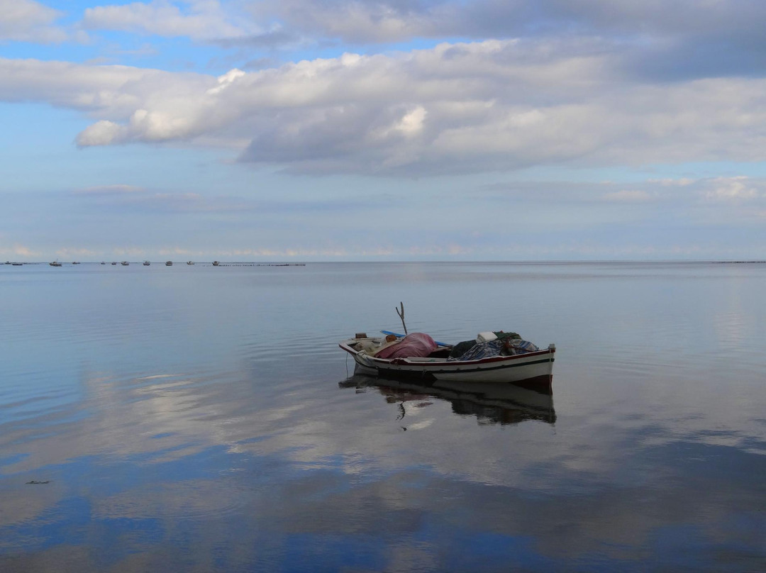 Isole Kerkennah-Kerkennah Islands必去景点