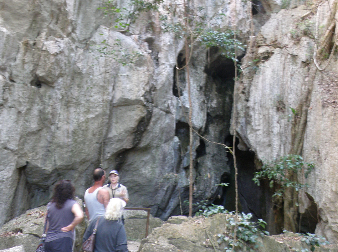 Capricorn Caves-The Caves必去景点