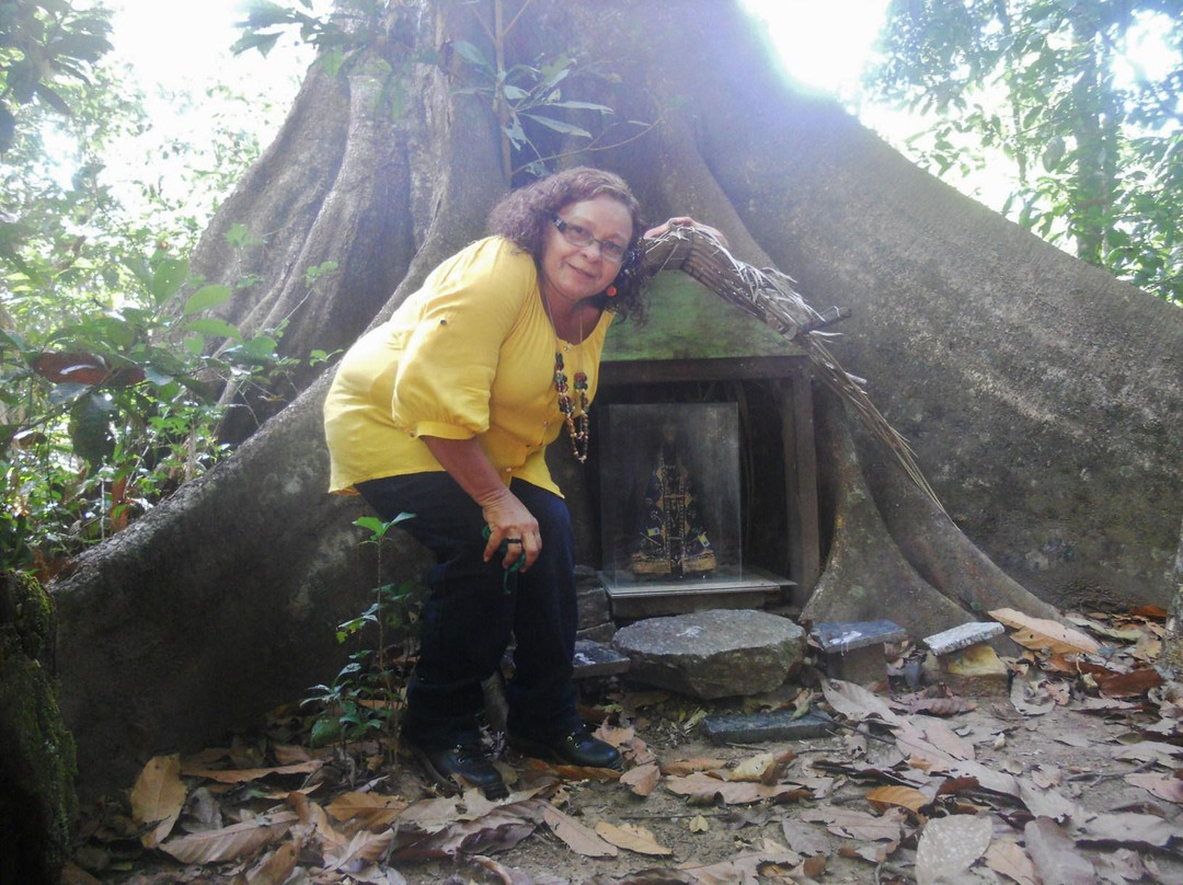 Rio Ji-Parana-Ji-Parana必去景点