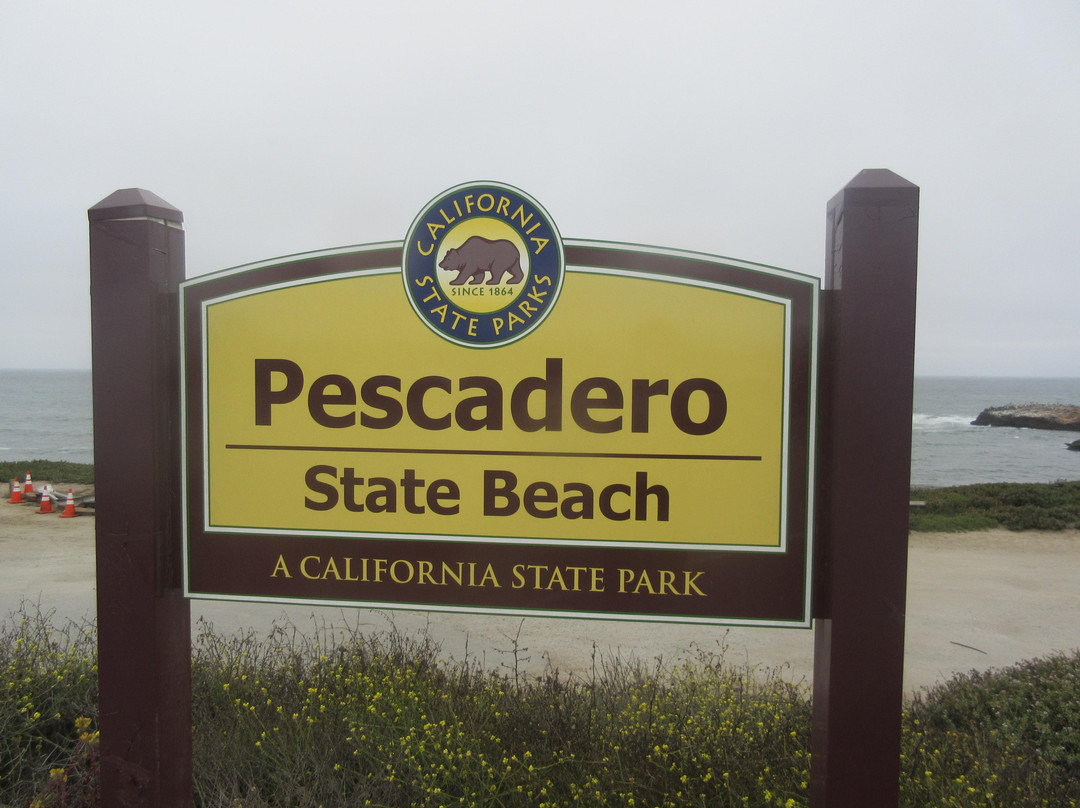 Pescadero State Beach-半月湾必去景点