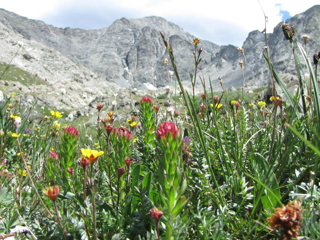 South Zapata Lake-Mosca必去景点