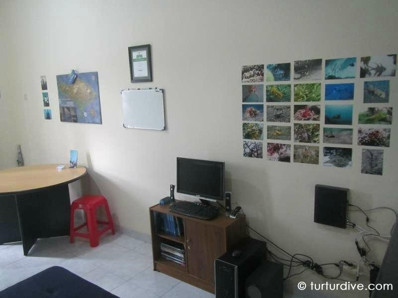 Turtur Dive-沙努尔必去景点