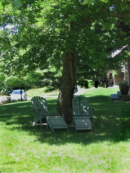 Retreat at TreeGap主图