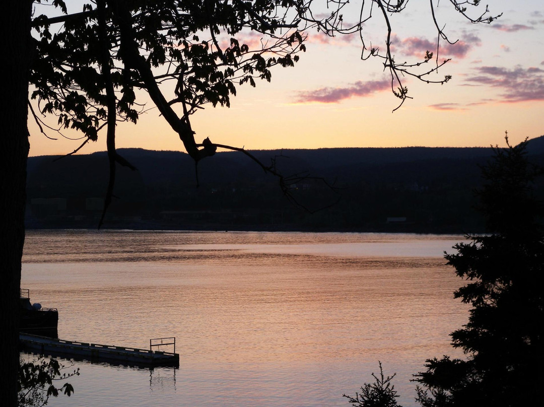 A Schooner Inn主图