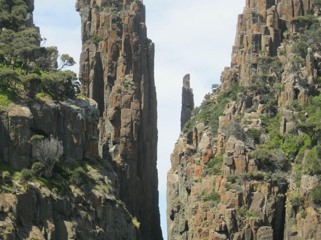 Eaglehawk Dive Centre-伊格尔霍克内克必去景点