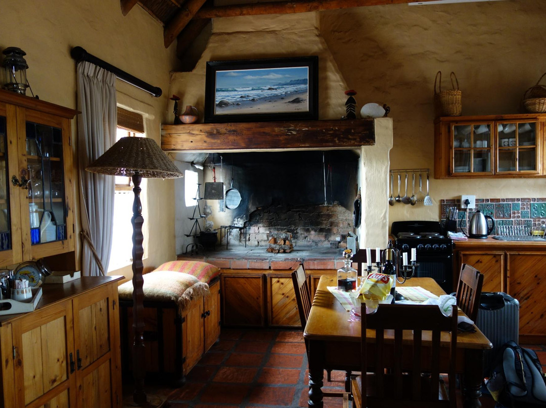 Oystercatcher Trail-莫塞尔贝必去景点