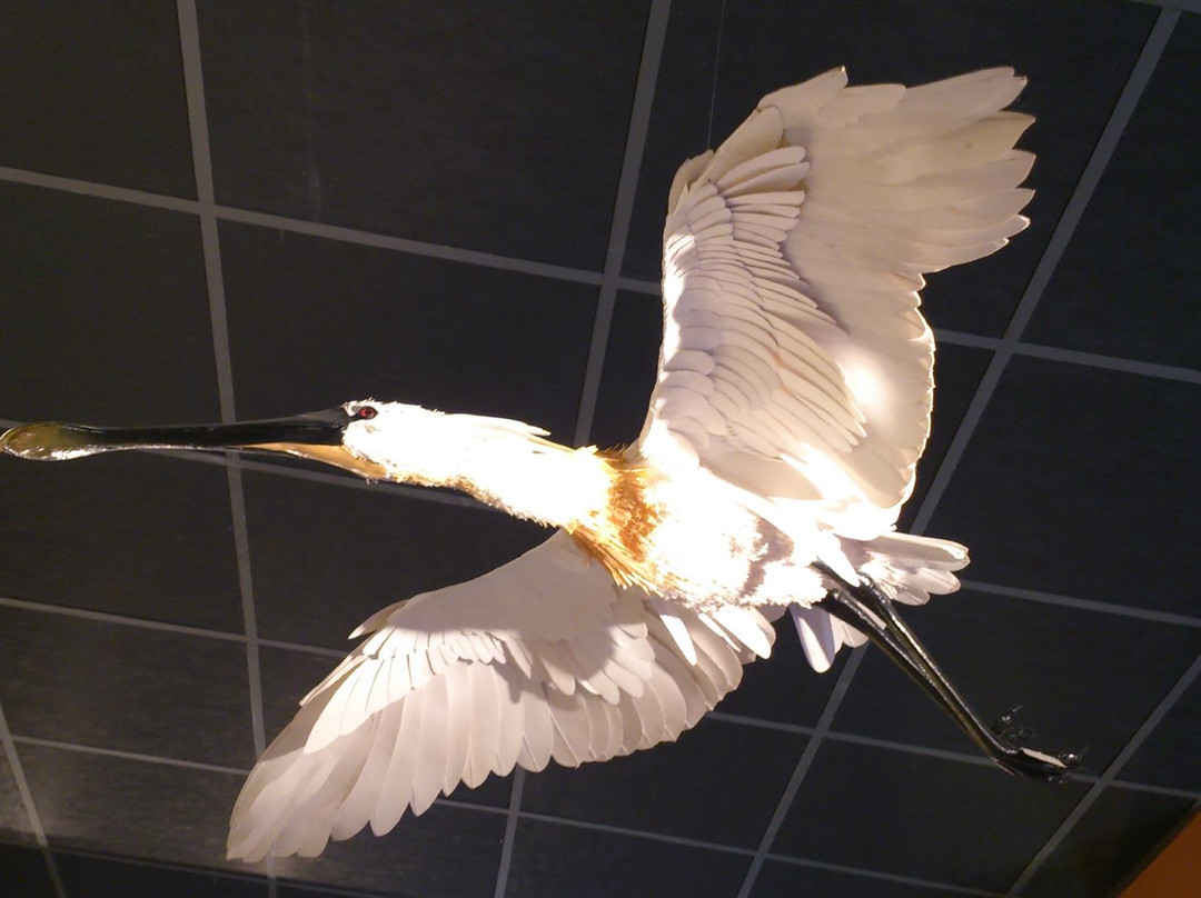 Museo delle Valli di Argenta景点图片