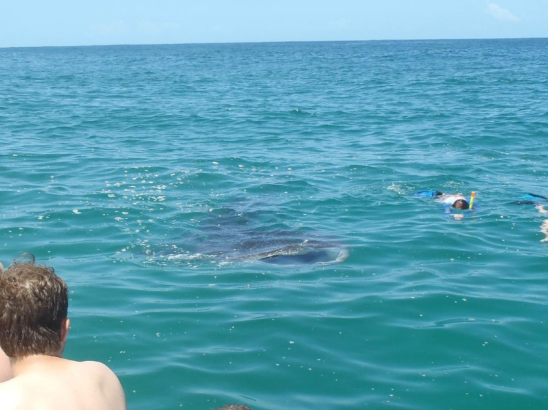 Barra Dive Resort-Inhambane必去景点