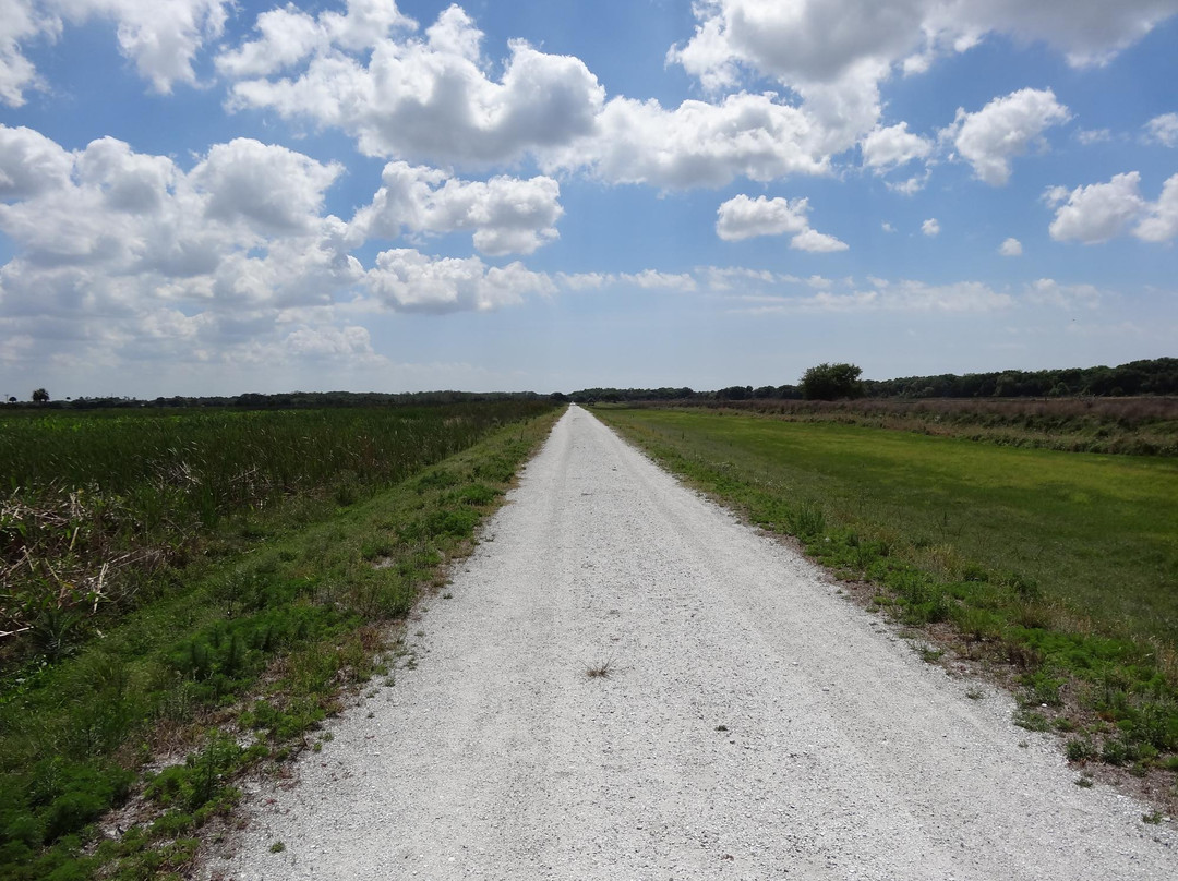 Taylor Creek Stormwater Treatment Area Trailead-奥基乔比必去景点