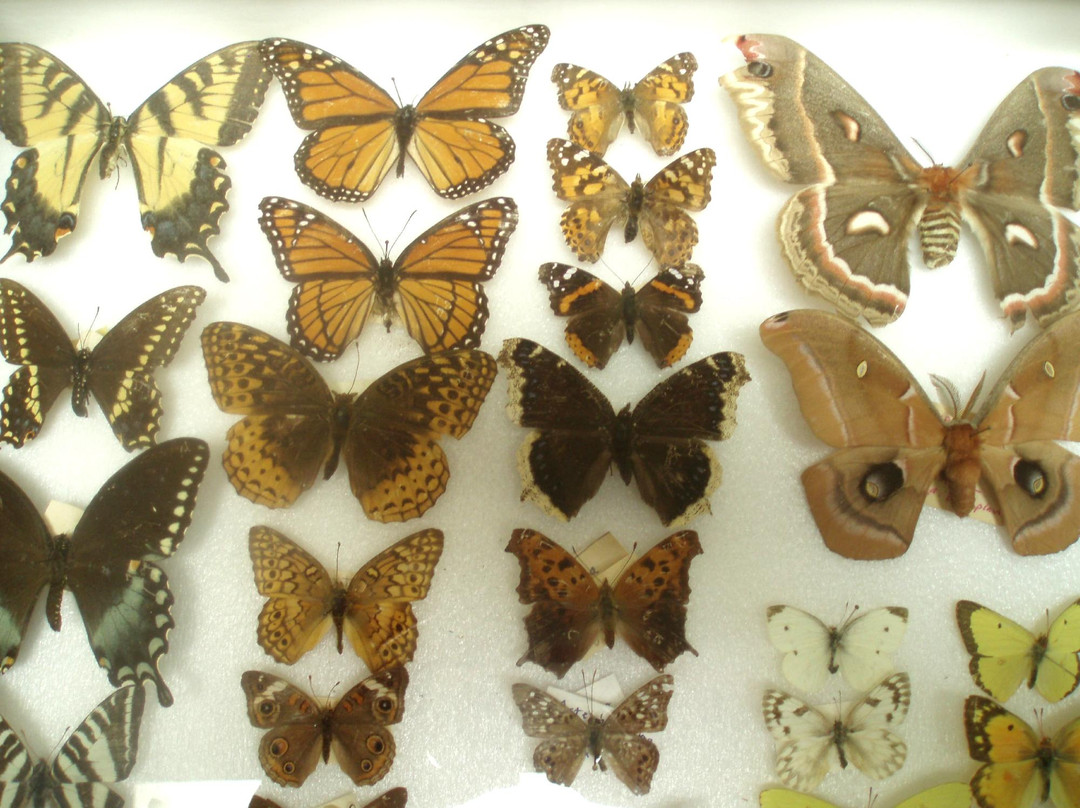 Discovery Station at Hagerstown-黑格斯敦必去景点