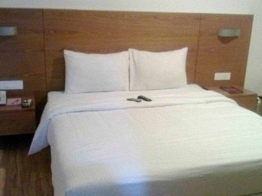 Jassons Sheesh Mahal主图