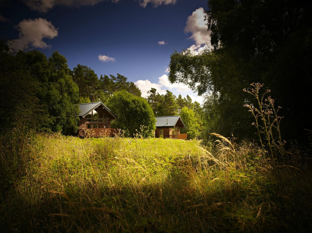 Forest Holidays Keldy