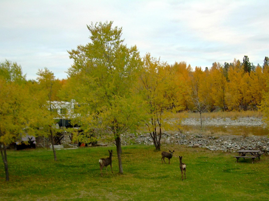 Rivers Edge RV Park & Campground