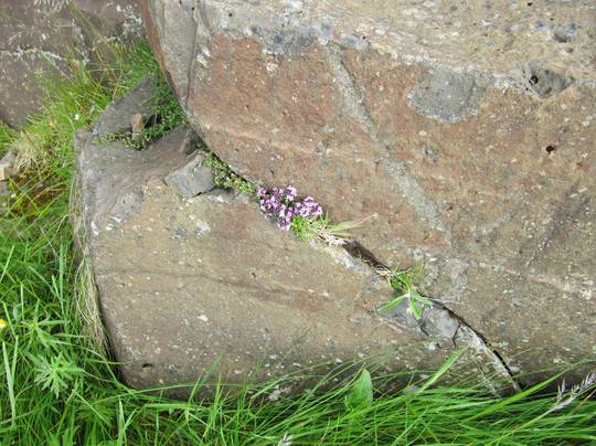 Basalt Cliffs-Frodba必去景点