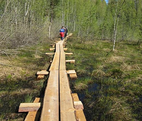 Pulkkilanharju Nature Trail-Asikkala必去景点