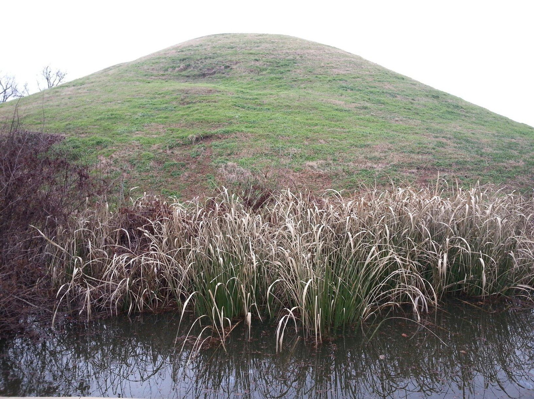 Plum Bayou Mounds Archaeological State Park景点图片