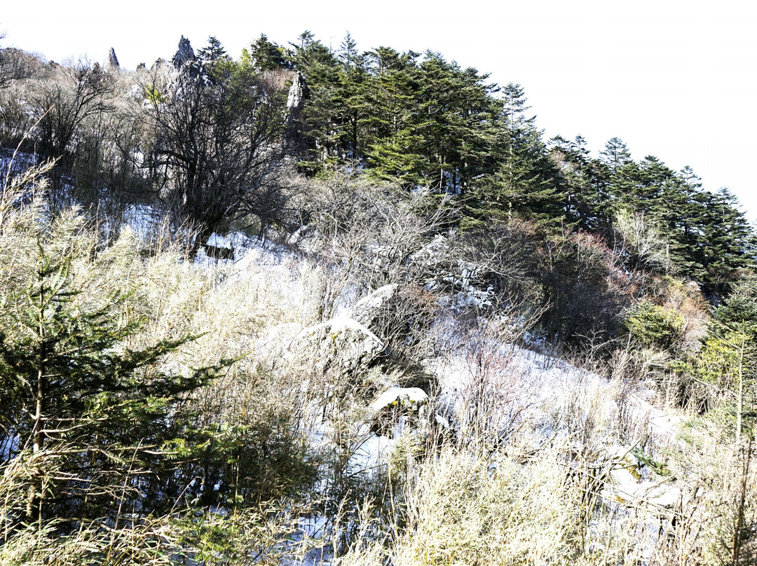 神农顶国家自然保护区-神农架林区必去景点