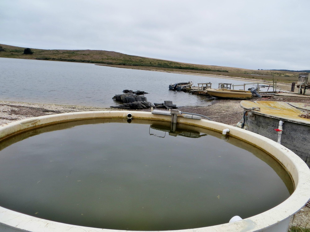 Drakes Estero-Inverness必去景点