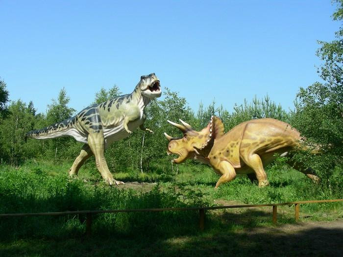 Park Dinozaurow景点图片