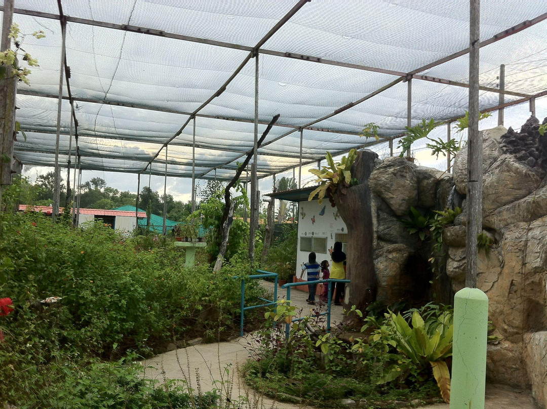 斗亚兰鳄鱼养殖场-斗亚兰必去景点