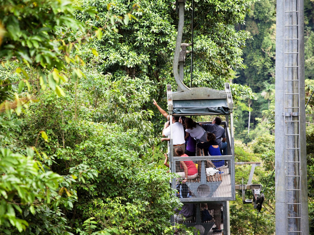 Veragua Rainforest Park景点图片