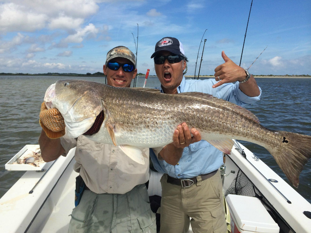 Coastal Outdoor Adventures-圣西蒙斯岛必去景点