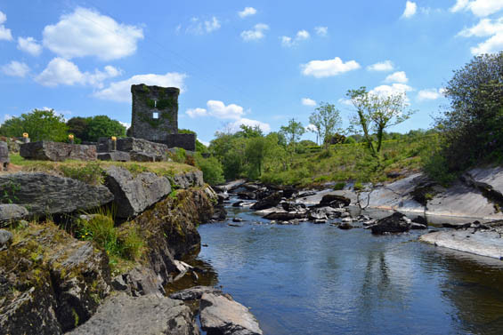Ballylickey旅游景点-Carriganass Castle