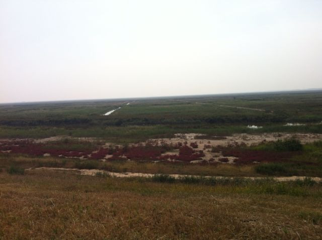 黄河入海口观光园