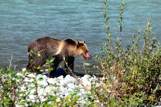 Aboriginal Journeys - Wildlife And Adventure Tours-坎贝尔里弗必去景点